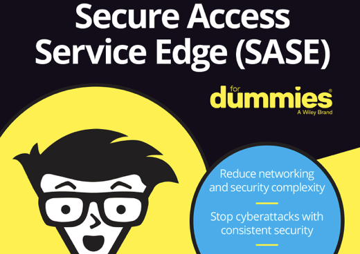 SASE Dummies Cover Photo